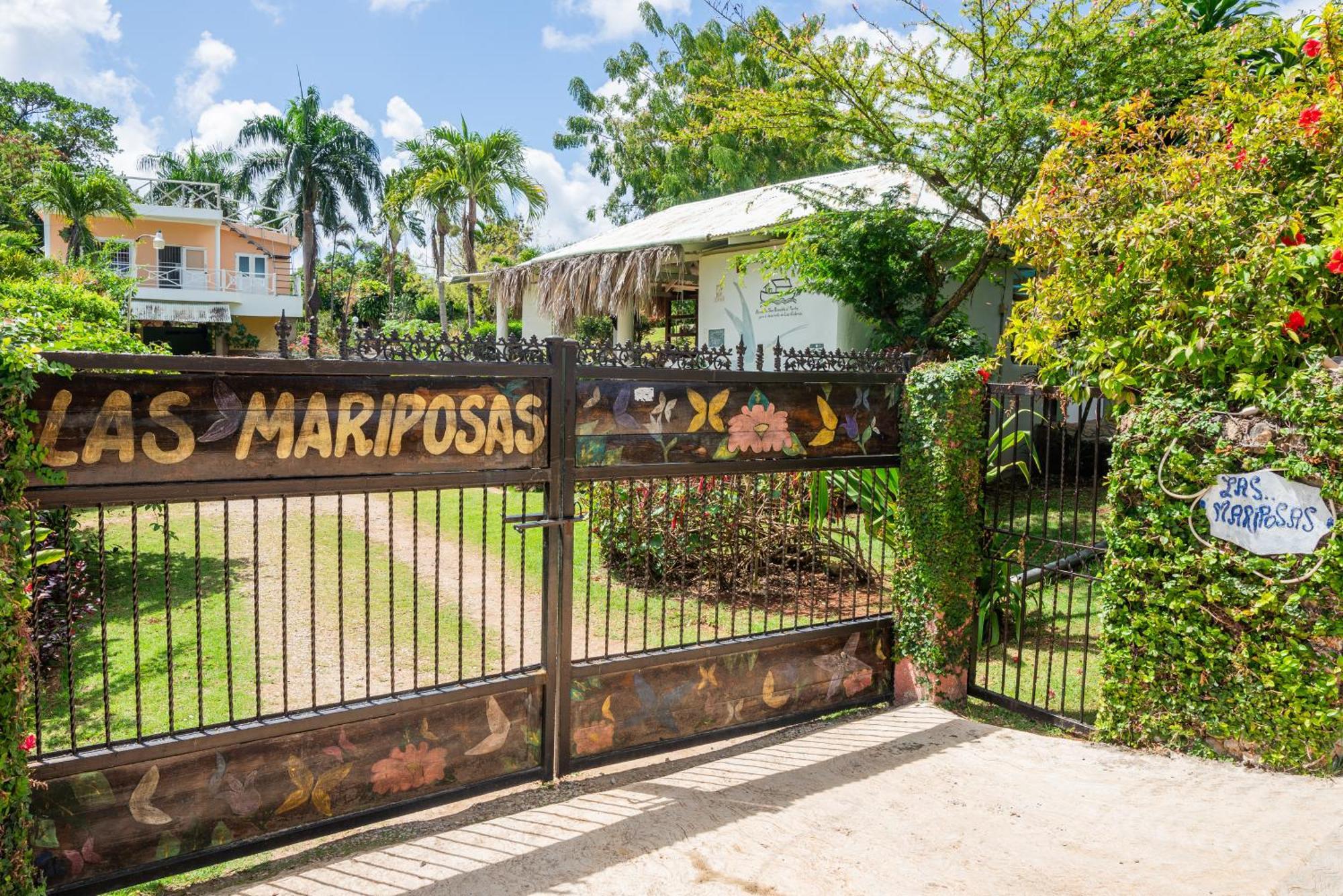 Las Mariposas Las Galeras Exterior photo